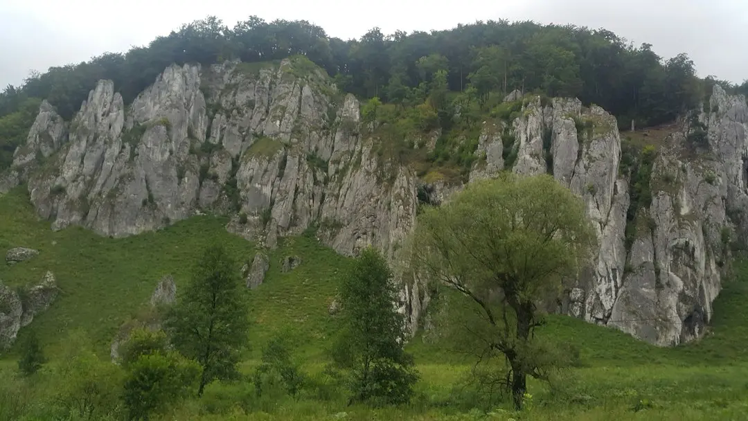 Citate care te fac să-ți iubești familia