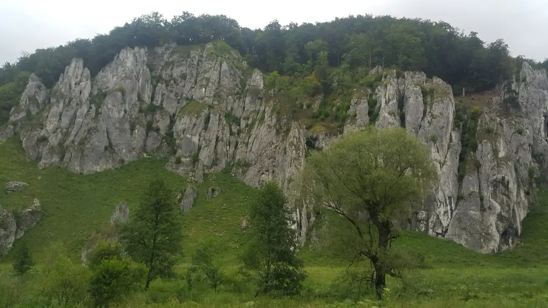 Cum scapi de reproșurile zilnice și împarți corect treburile în cuplu